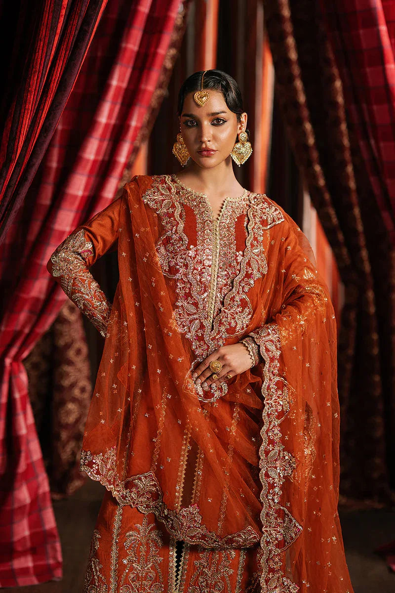 Afrozeh | Divani Silk 25 | Aafreen - Rang-e-Khaas