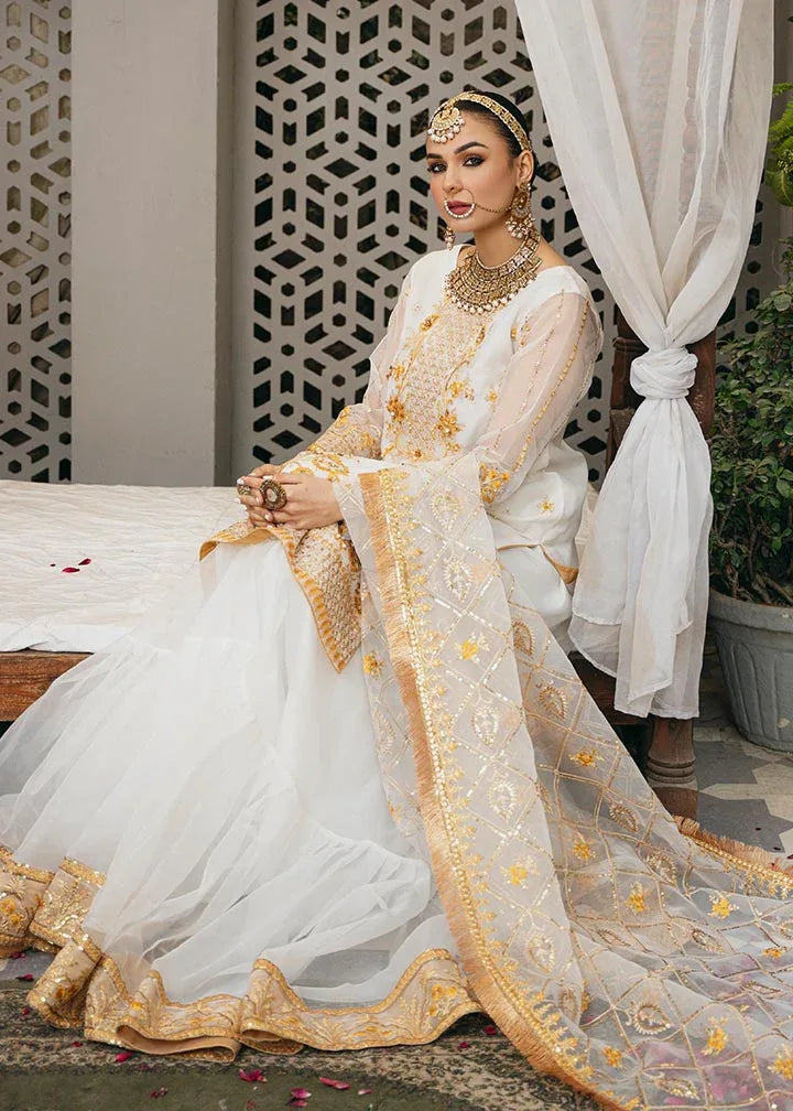 Daud Abbas | Formals Collection | Tamana - Rang-e-Khaas