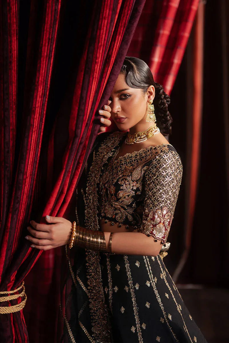 Afrozeh | Divani Silk 25 | Gulraiz - Rang-e-Khaas