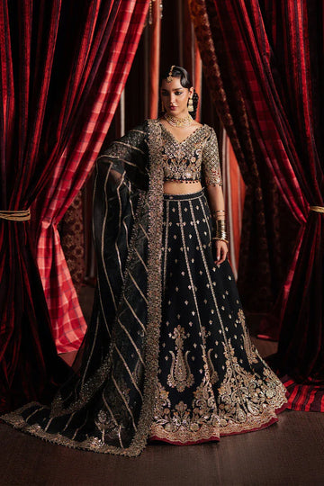 Afrozeh | Divani Silk 25 | Gulraiz - Rang-e-Khaas
