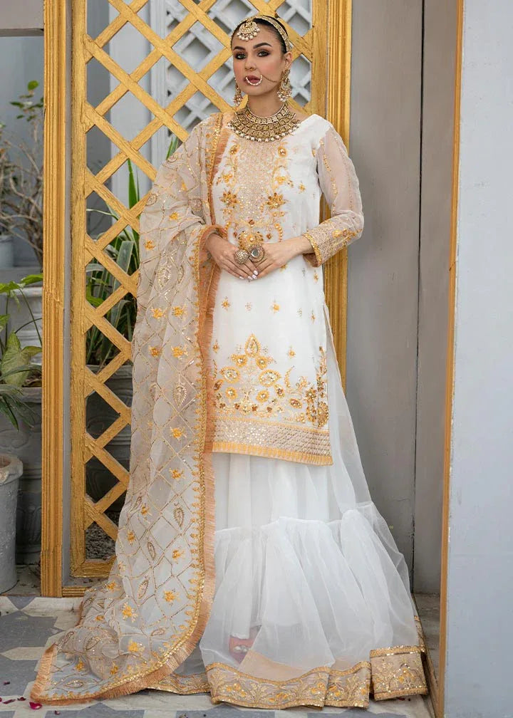 Daud Abbas | Formals Collection | Tamana - Rang-e-Khaas