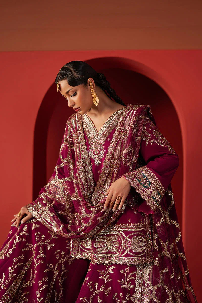 Afrozeh | Divani Silk 25 | Shamal - Rang-e-Khaas