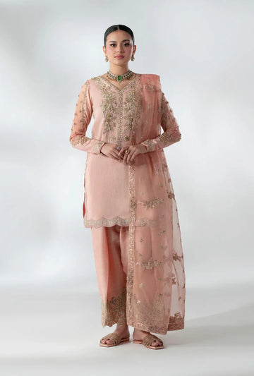 AJR Couture | Luxe Pret 25 |  Ankara Allure - Rang-e-Khaas