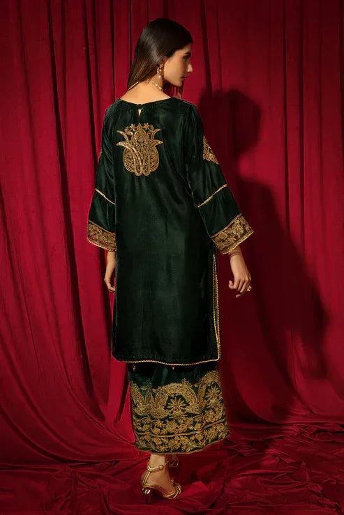Declare | Velvet Collection 24 |   V1004 - Rang-e-Khaas