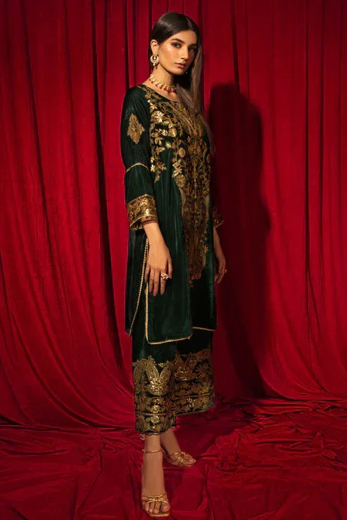 Declare | Velvet Collection 24 |   V1004 - Rang-e-Khaas
