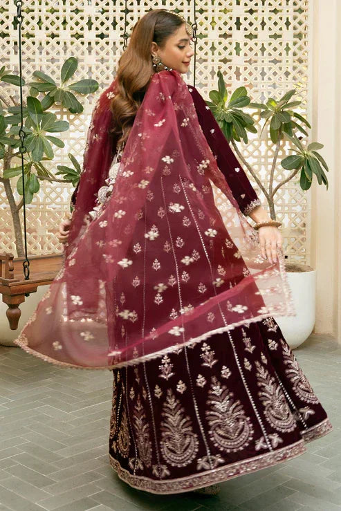 Declare | Velvet Collection 24 |  V1007 - Rang-e-Khaas