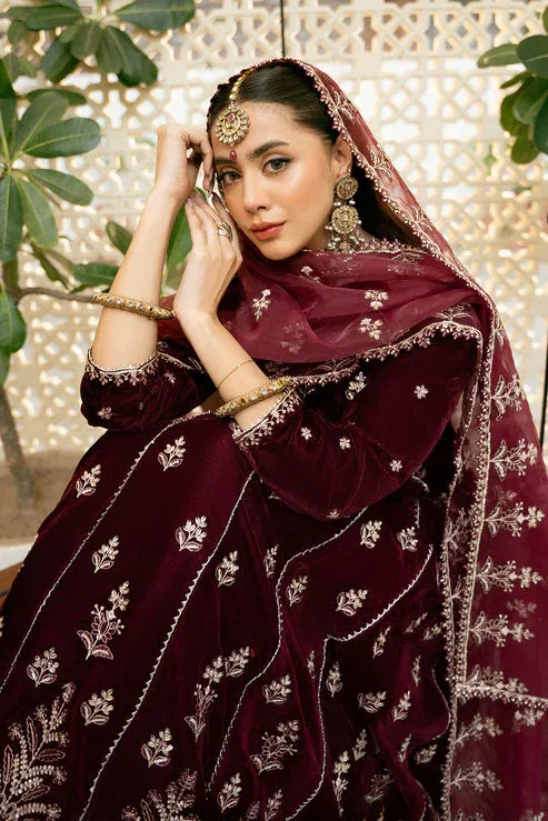 Declare | Velvet Collection 24 |  V1007 - Rang-e-Khaas