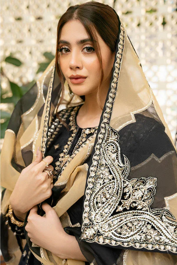 Declare | Velvet Collection 24 |  V1010 - Rang-e-Khaas