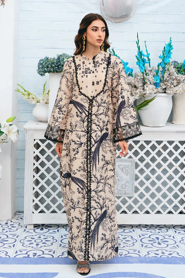 Vanya | Co-Ords 24 | CO-62 - Rang-e-Khaas