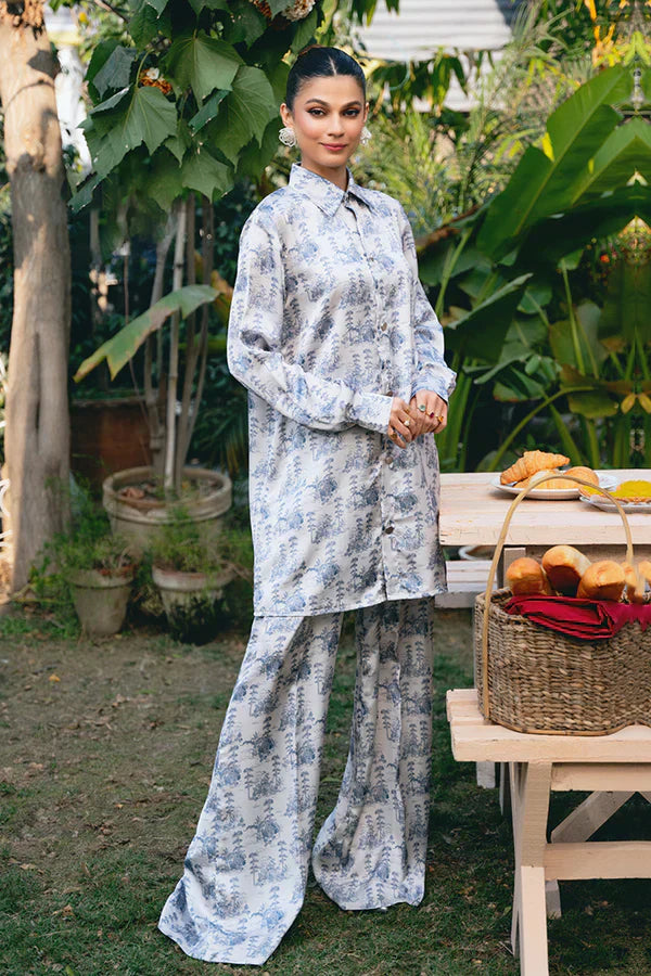 Vanya | Co-Ords 24 | CO-64 - Rang-e-Khaas