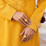 Vintage | Eid Edit 24 | Mehroz - Rang-e-Khaas