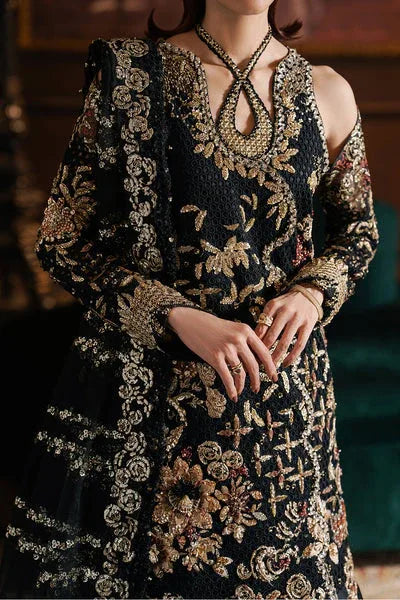Afrozeh | Hayat Formals 25 | Sarave - Rang-e-Khaas