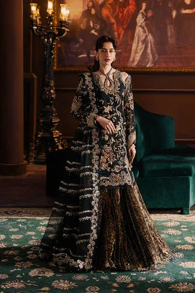 Afrozeh | Hayat Formals 25 | Sarave - Rang-e-Khaas