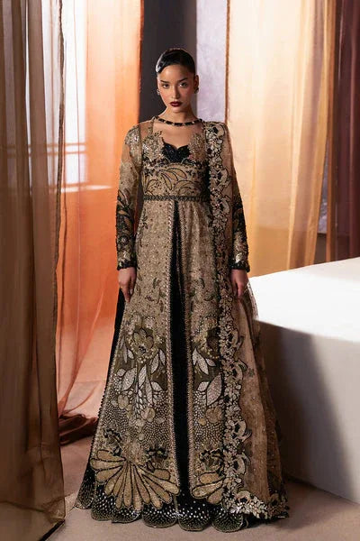 Afrozeh | Hayat Formals 25 | Rayyan - Rang-e-Khaas