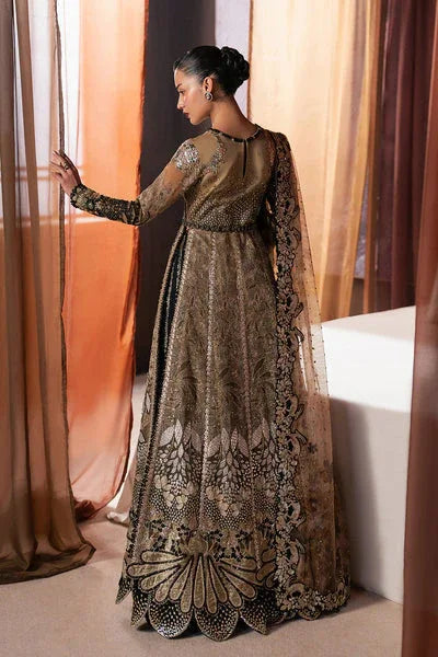 Afrozeh | Hayat Formals 25 | Rayyan - Rang-e-Khaas