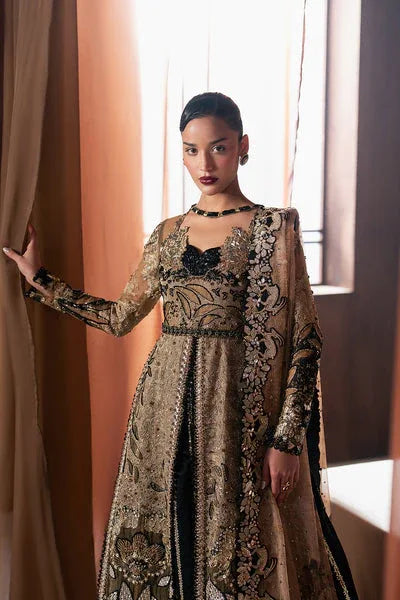 Afrozeh | Hayat Formals 25 | Rayyan - Rang-e-Khaas