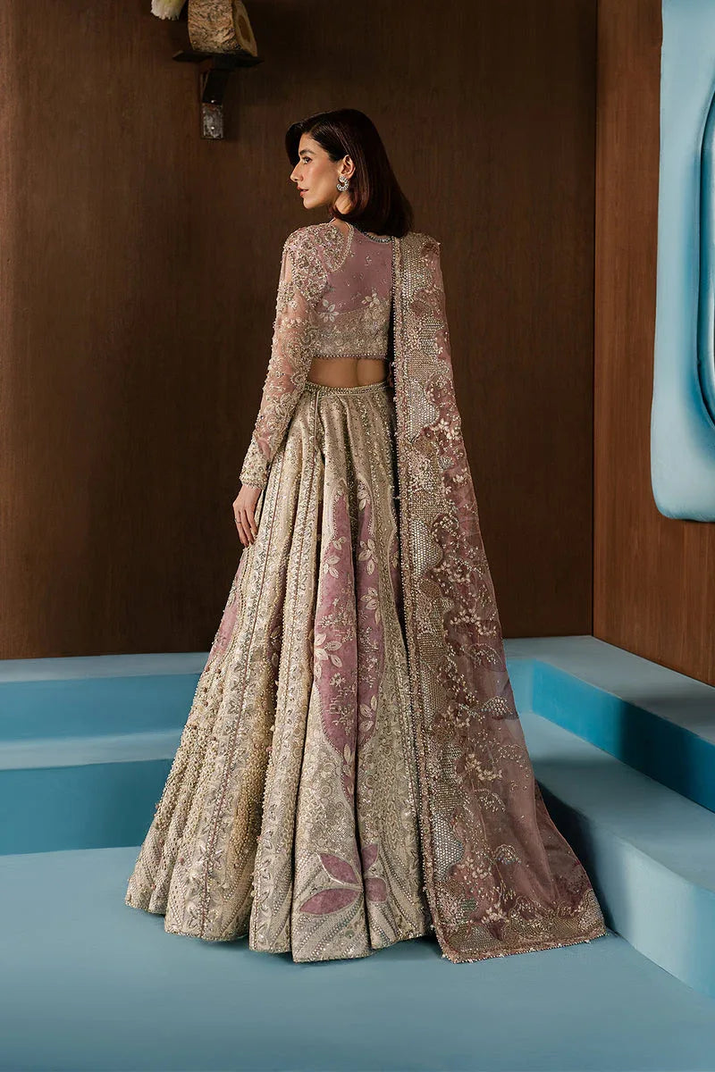 Afrozeh | Hayat Formals 25 | Zaviyah - Rang-e-Khaas