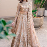 Waqas Shah | Amariage Luxury Formals | Golden Patel