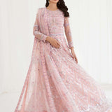 Dastoor Collection - Daneen