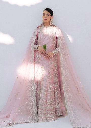 Suffuse | Freeshia RTW'24 | Falek - Rang-e-Khaas