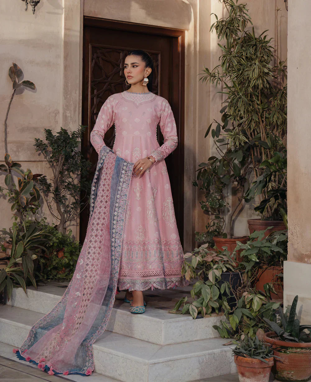 Xenia Formals | Lawn Collection 24 | Tazim - Rang-e-Khaas