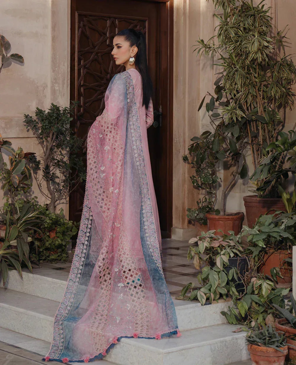 Xenia Formals | Lawn Collection 24 | Tazim - Rang-e-Khaas