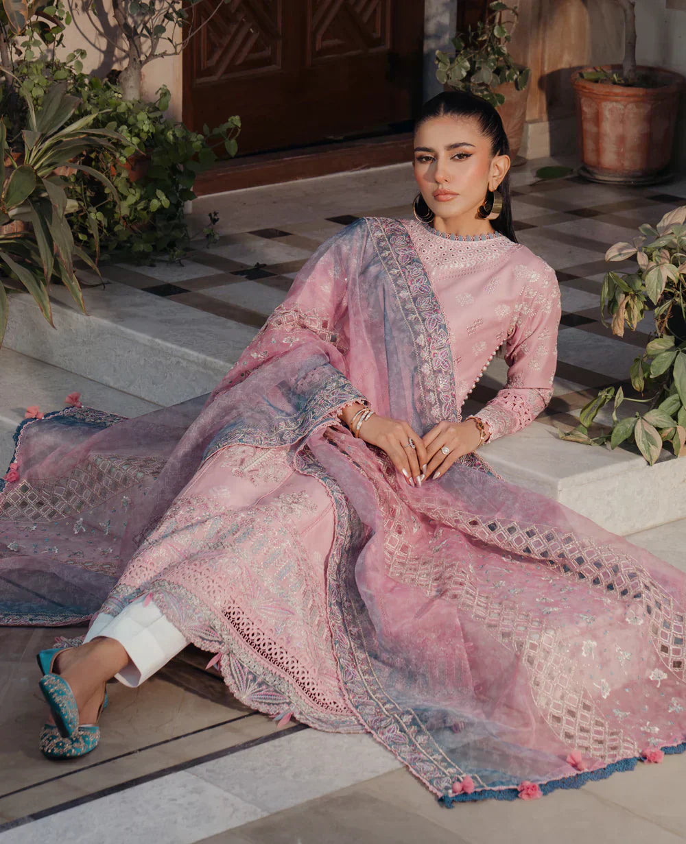 Xenia Formals | Lawn Collection 24 | Tazim - Rang-e-Khaas