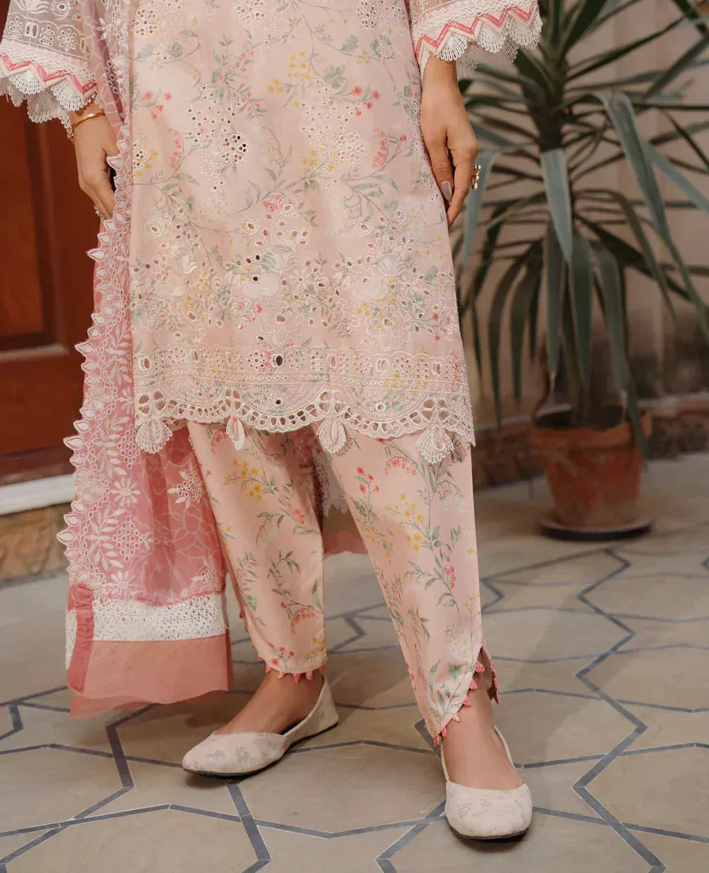 Xenia Formals | Lawn Collection 24 | Zubeena - Rang-e-Khaas