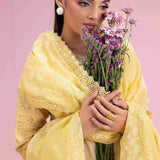 Aabyaan | Eid Pret 25 |MAHVEEN AP-04