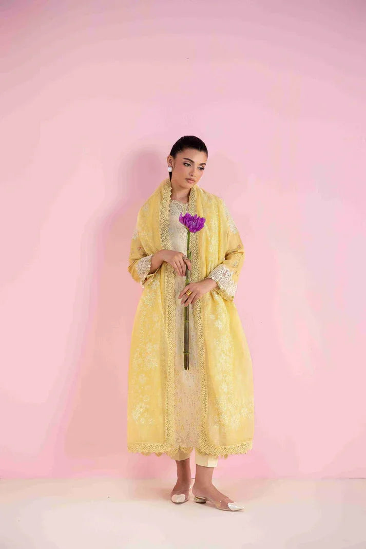Aabyaan | Eid Pret 25 |MAHVEEN AP-04 - Rang-e-Khaas