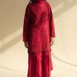 Zara Shahjahan | Fall Festive 24 | ZC-2071
