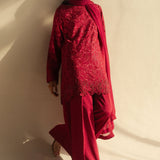 Zara Shahjahan | Fall Festive 24 | ZC-2071