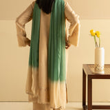 Zara Shahjahan | Pret Wear | ZC-2098