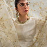 Zara Shahjahan | Wedding Formals 2024 | ZC-3099