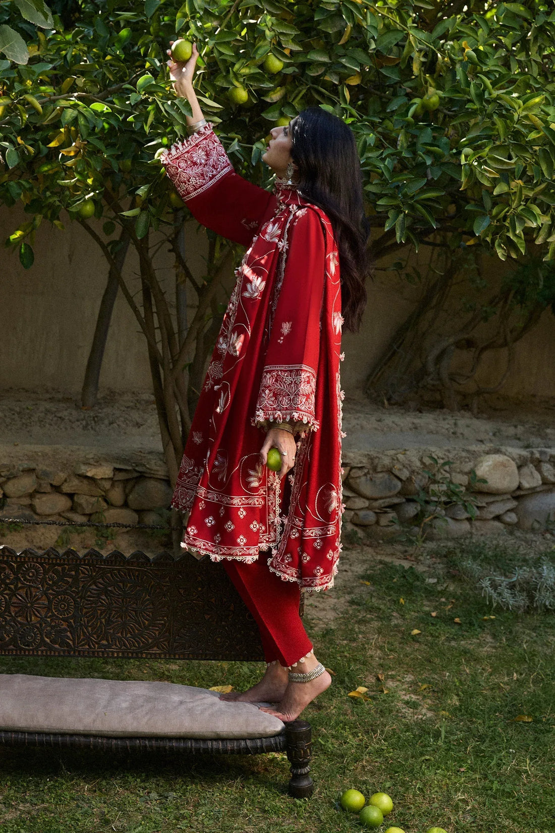 Zaha | Winter 2024 |  DILARA (ZW24-02) - Rang-e-Khaas