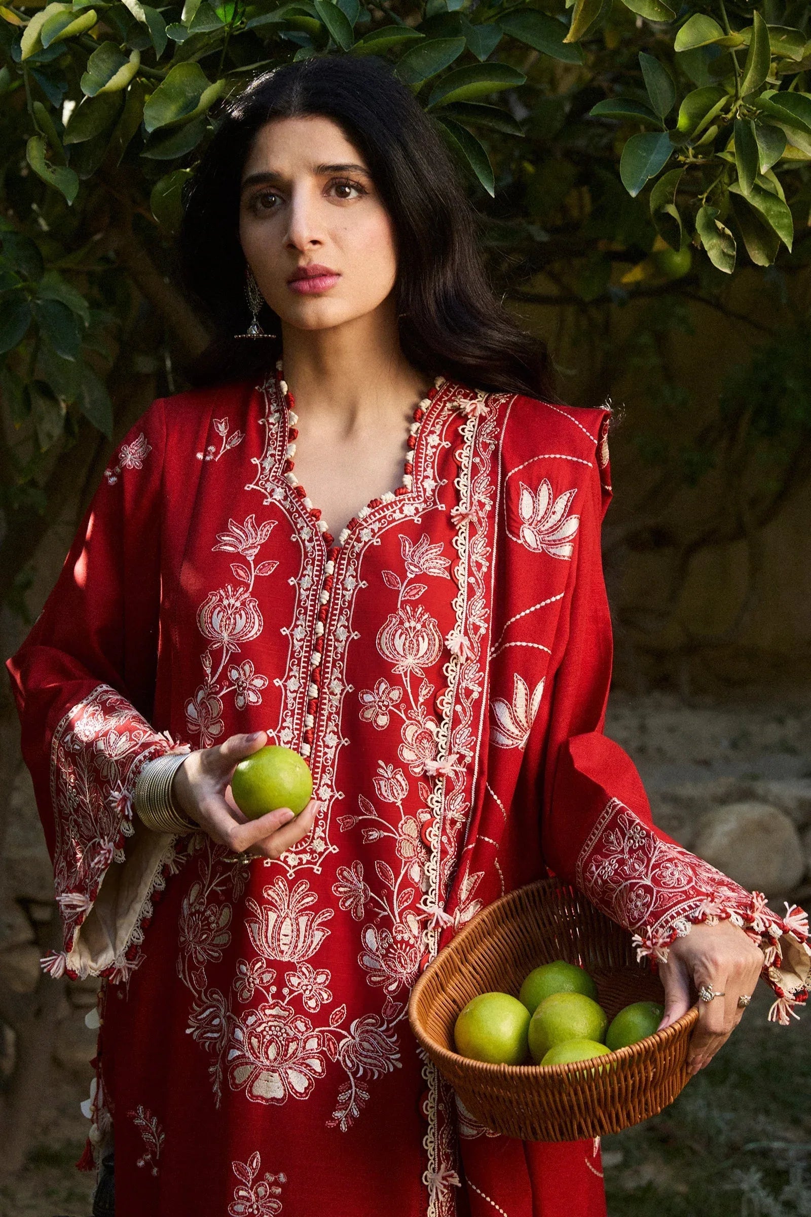 Zaha | Winter 2024 |  DILARA (ZW24-02) - Rang-e-Khaas