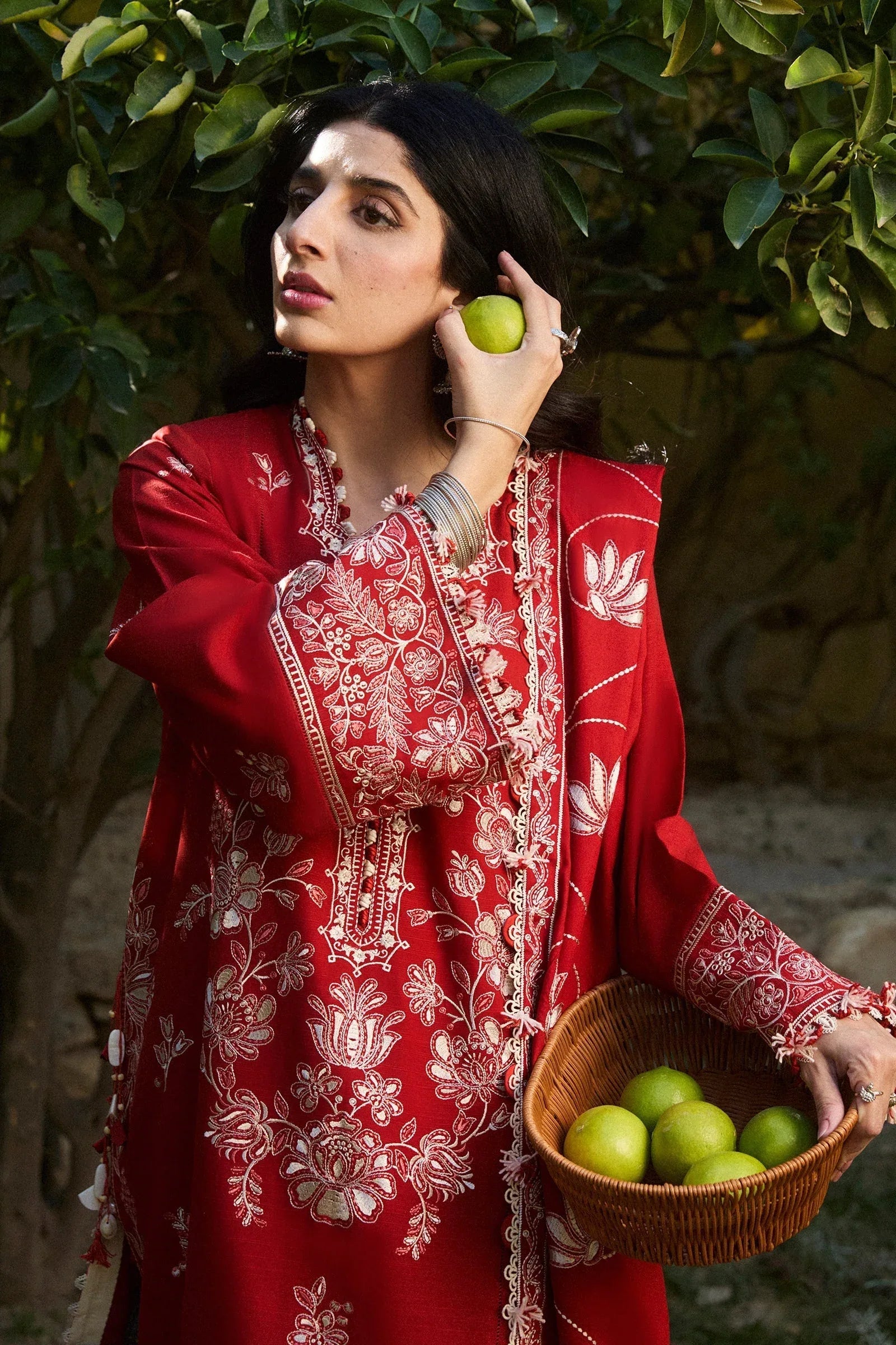 Zaha | Winter 2024 |  DILARA (ZW24-02) - Rang-e-Khaas
