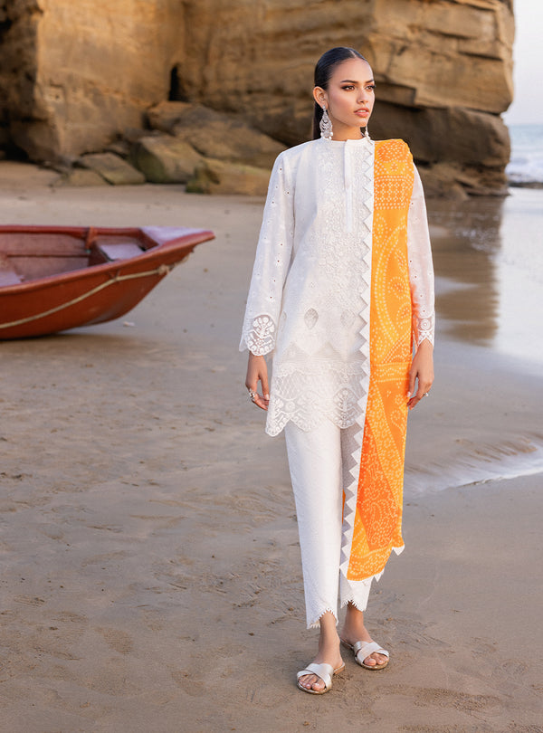 Zainab chottani | Luxury Chikankari 24 | CHUNARI - 3B