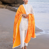 Zainab chottani | Luxury Chikankari 24 | CHUNARI - 3B