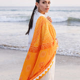 Zainab chottani | Luxury Chikankari 24 | CHUNARI - 3B