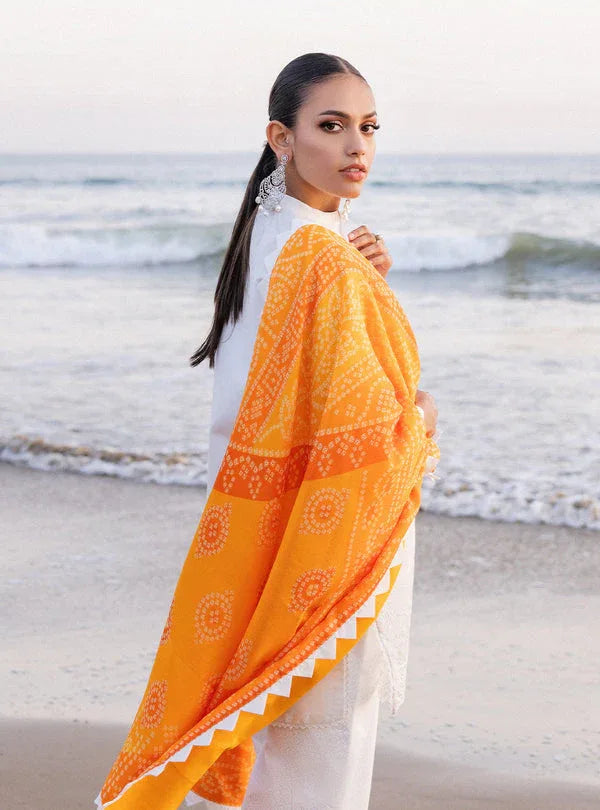 Zainab chottani | Luxury Chikankari 24 | CHUNARI - 3B - Rang-e-Khaas