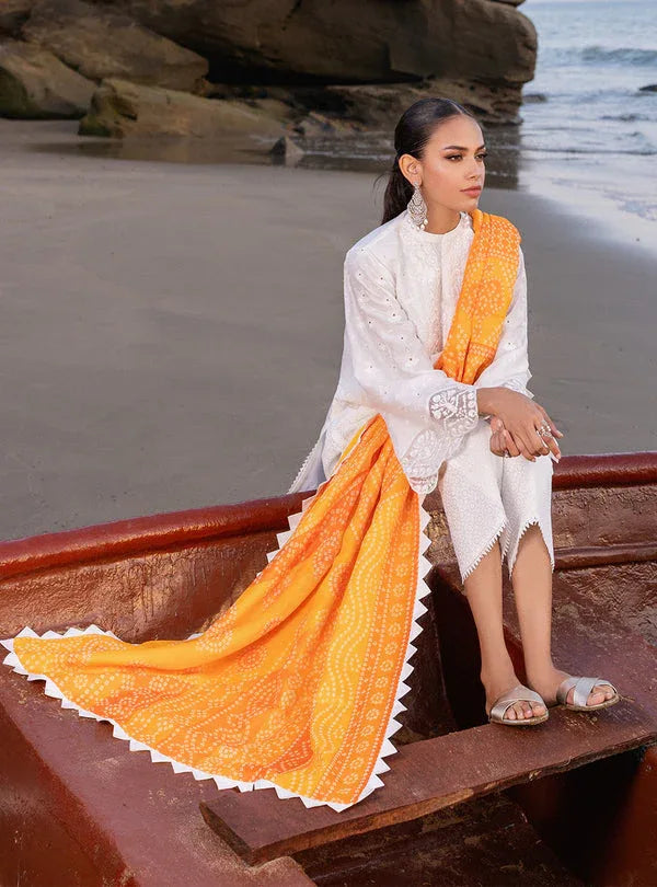 Zainab chottani | Luxury Chikankari 24 | CHUNARI - 3B - Rang-e-Khaas