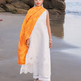 Zainab chottani | Luxury Chikankari 24 | CHUNARI - 3B