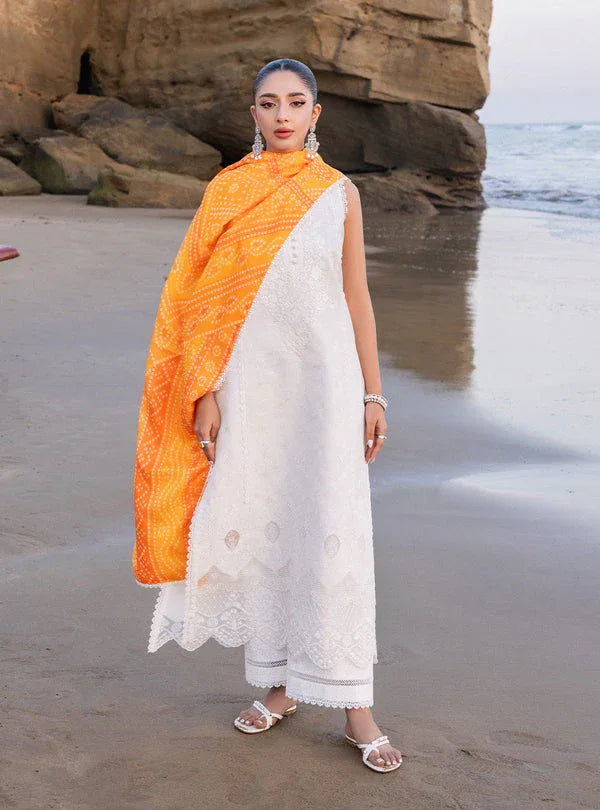 Zainab chottani | Luxury Chikankari 24 | CHUNARI - 3B - Rang-e-Khaas
