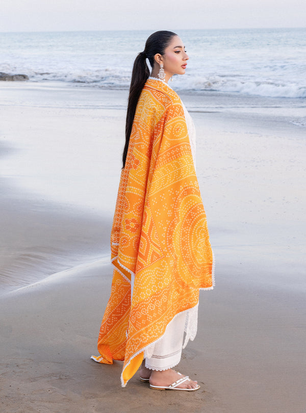 Zainab chottani | Luxury Chikankari 24 | CHUNARI - 3B