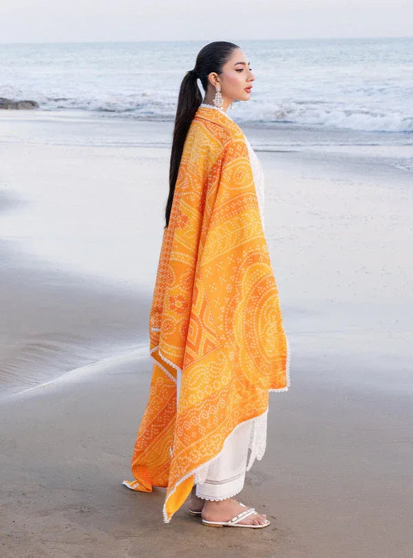 Zainab chottani | Luxury Chikankari 24 | CHUNARI - 3B - Rang-e-Khaas