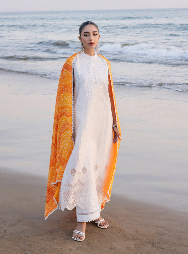 Zainab chottani | Luxury Chikankari 24 | CHUNARI - 3B