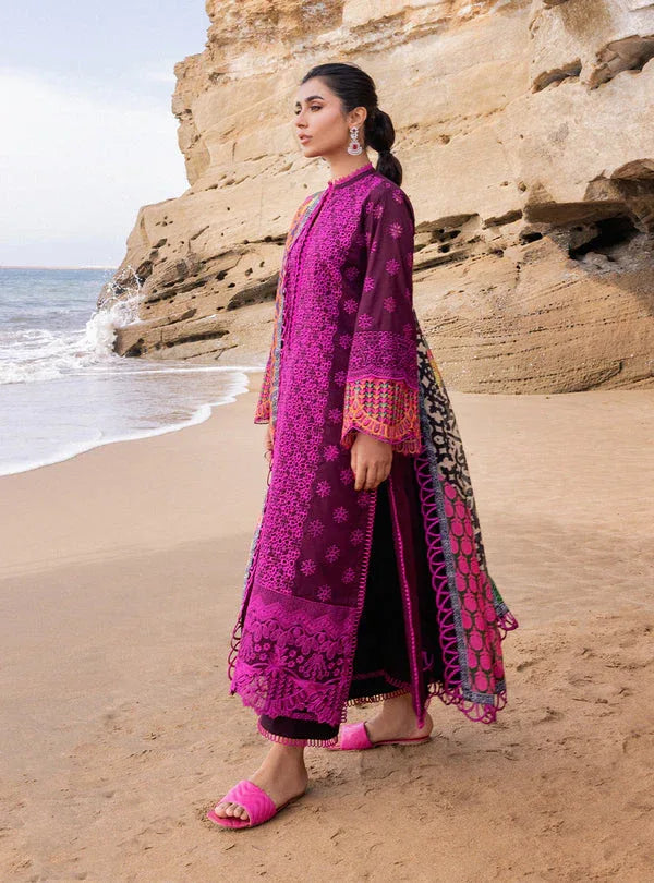 Zainab chottani | Luxury Chikankari 24 | NAYSA - 4B - Rang-e-Khaas
