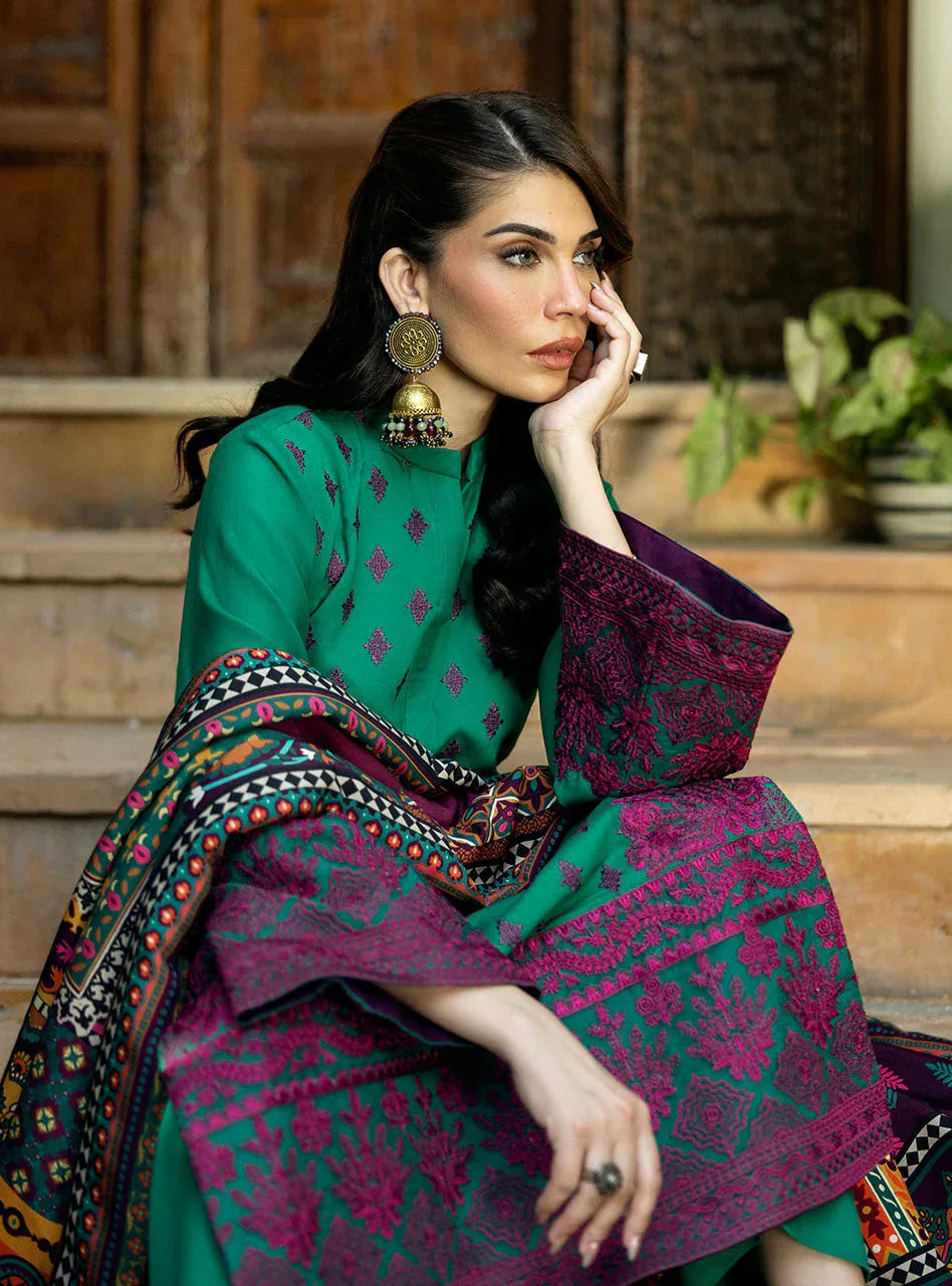 Zainab Chottani | Winter Shawls 24 | Esha - Rang-e-Khaas