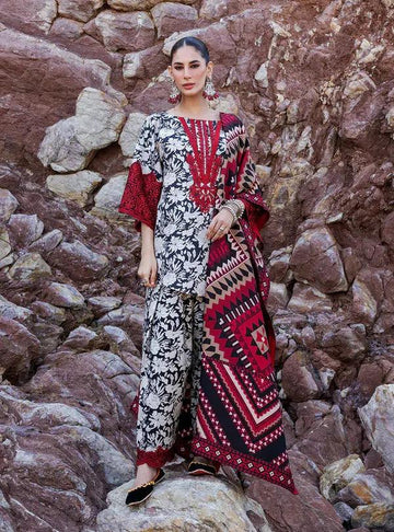 Zainab Chottani | Winter Shawls | Asna - Rang-e-Khaas